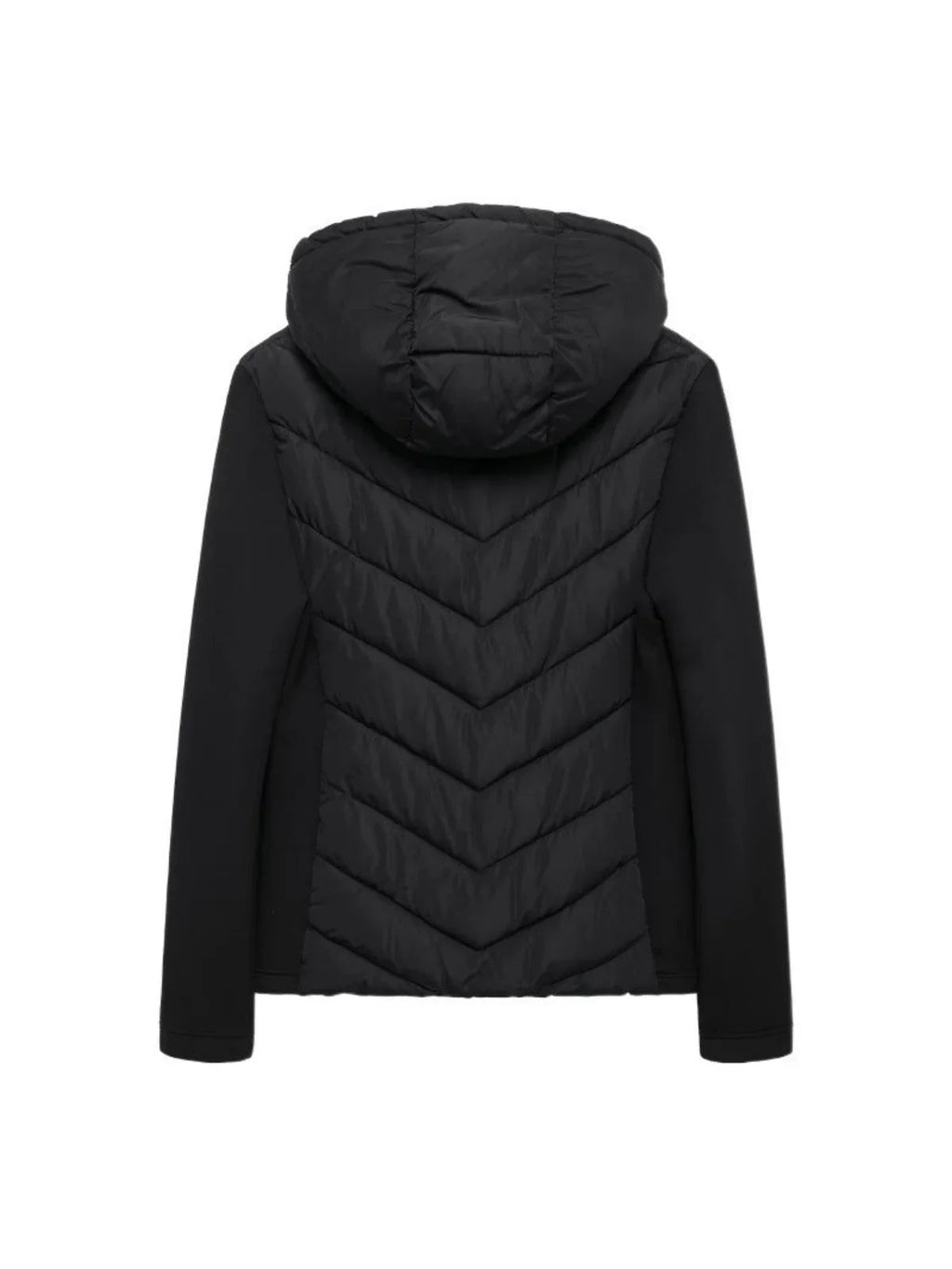 Cotton Padded Coat With Stand Up Collar For Casual Wear